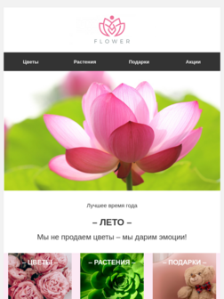 Летние предложения